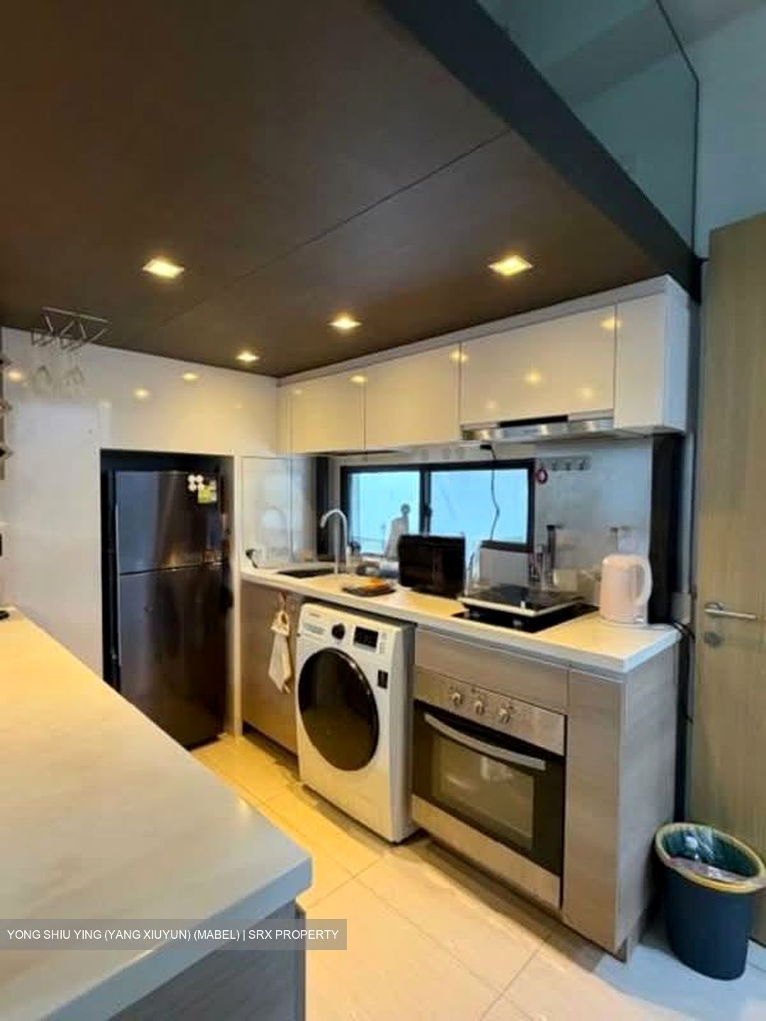 Boathouse Residences (D19), Condominium #549224741